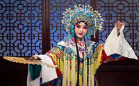 京剧中的旦角分为哪几种