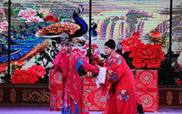 武安平调落子起源于什么时期？伴奏乐器以什么为主？